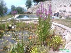 piscina naturale, biopiscina, laghetto balneabile