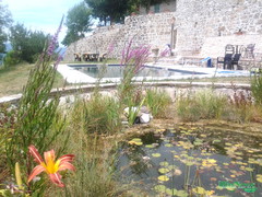 piscina naturale, biopiscina, laghetto balneabile