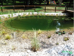 biopiscine, piscine naturali, biolaghi