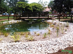 biopiscine, piscine naturali, biolaghi