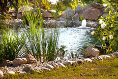 biolaghi, laghetti balneabili, piscina naturale