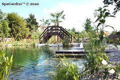 bionova italia, biopiscine, piscine naturali