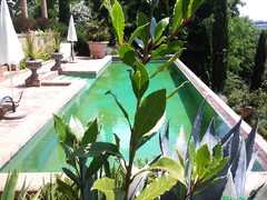 biopiscine, piscine naturali, biolaghi