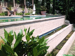 biopiscine, piscine naturali, biolaghi